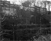 cottages through the trees